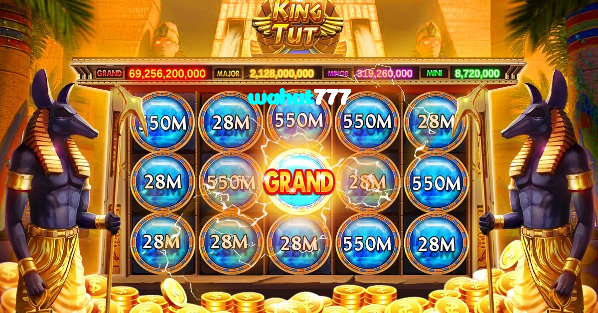 available types of wahat777 bet including pre-match live express and system bets